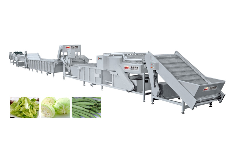 葉菜類(lèi)加工生產(chǎn)線